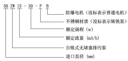 ZW自吸91视频香蕉视频01.jpg