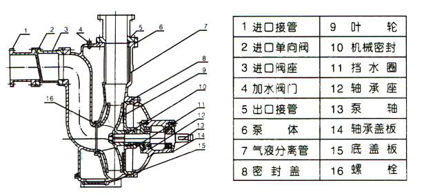ZW自吸91视频香蕉视频04.jpg